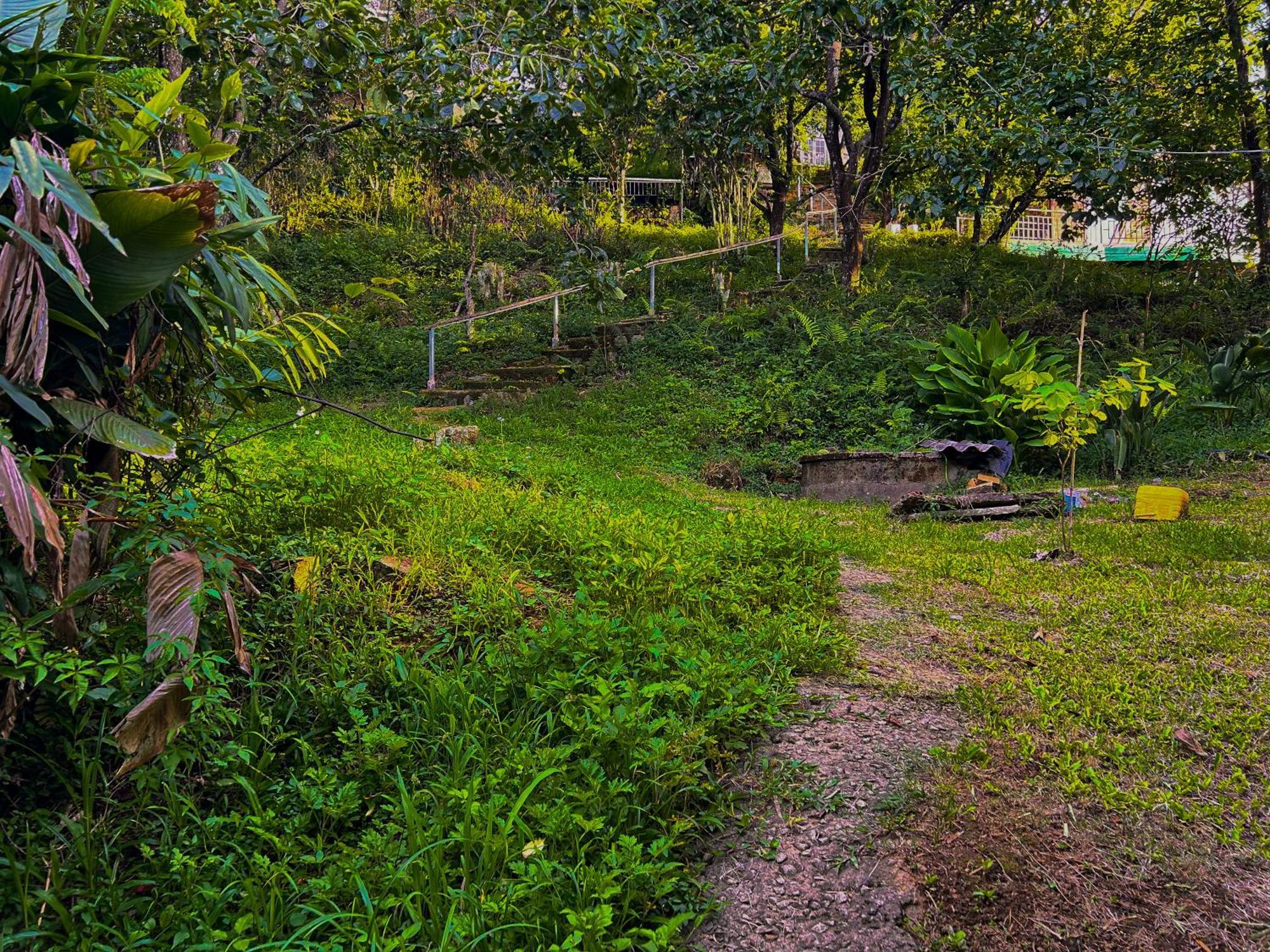 Hong Mon Villa Dalat Luaran gambar